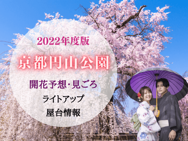 円山公園の桜2022のアイキャッチ画像