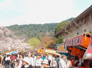 円山公園の桜の時期の屋台を撮影した写真