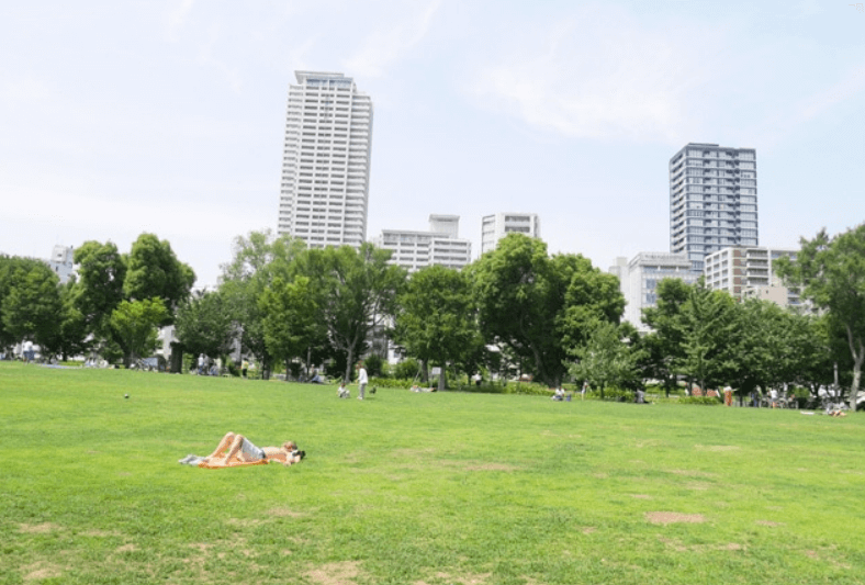 中之島公園の芝生公園を撮影した写真