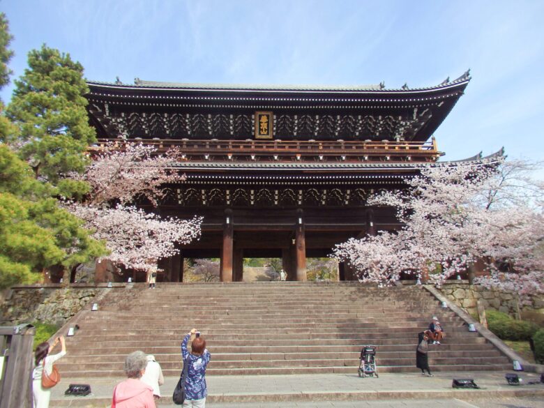 知恩院三門と桜を撮影した写真