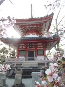 知恩院で霊塔と桜を撮影した写真