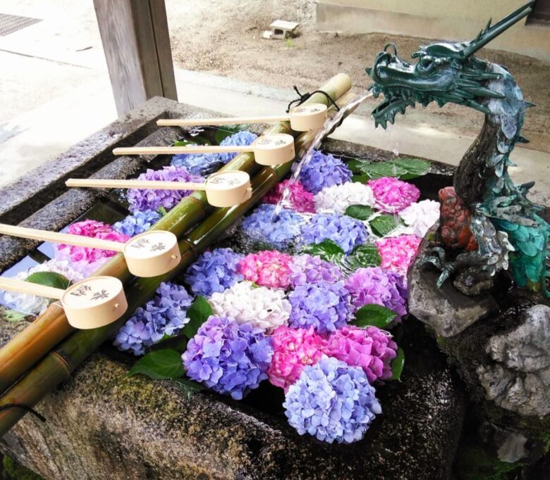 藤森神社紫陽花の花手水を撮影した写真