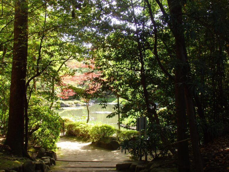 平安神宮神苑の森を撮影した写真
