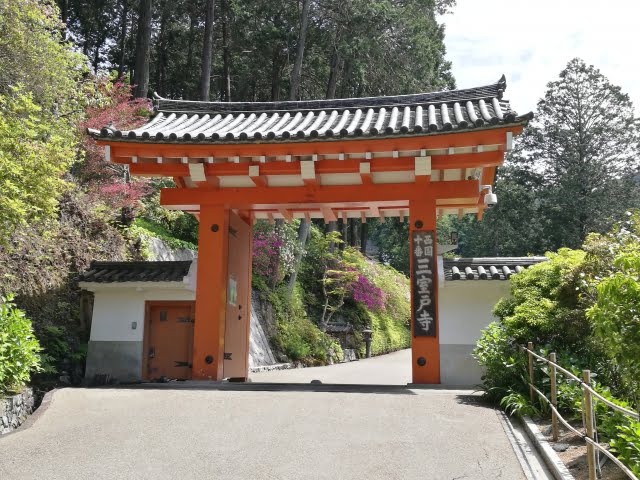 三室戸寺の山門を撮影した写真