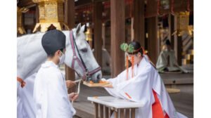 上賀茂神社の神馬交代を撮影した写真