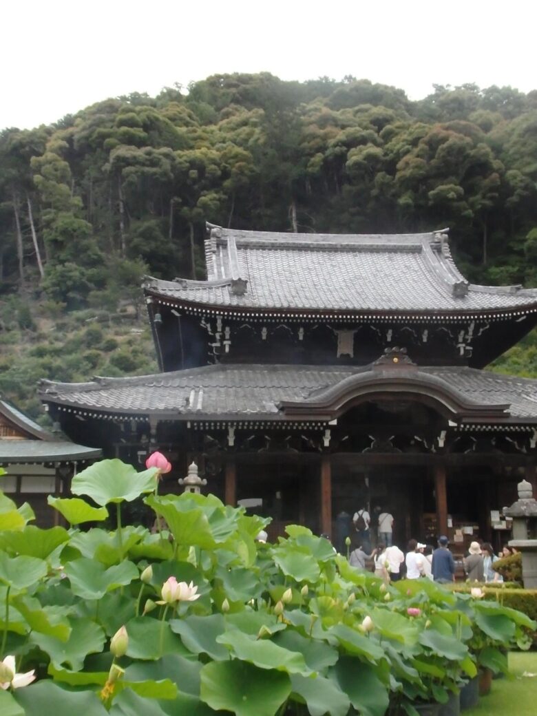 三室戸寺本堂を撮影した写真