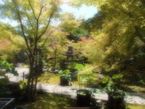 京都勝林寺の吉祥紅葉を撮影した写真