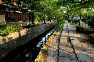 哲学の道を撮影した写真