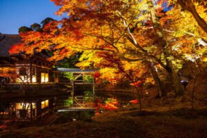 高台寺ライトアップを撮影した写真