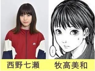 ドラマハコヅメキャストの画像を作成した写真