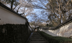 勝持寺を撮影した写真