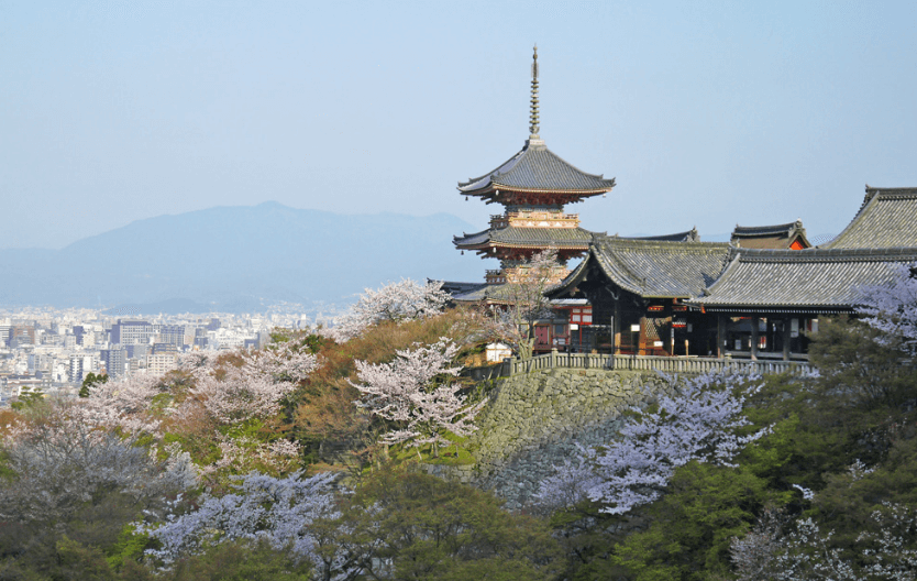 清水寺の桜を撮影した写真