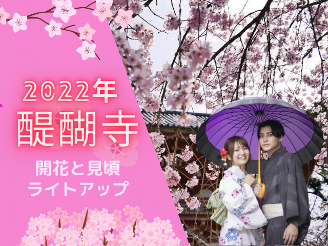醍醐寺2022年桜のアイキャッチ画像