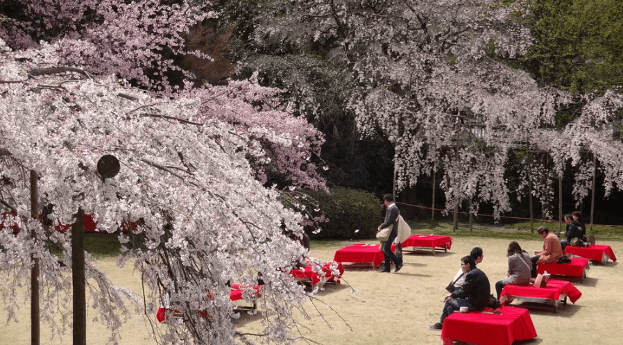 醍醐寺三宝院の奥の広場を撮影した写真